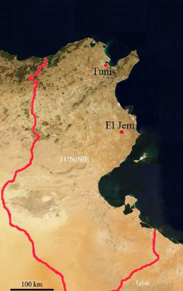 Castel Gelluli Extra Virgin Olive Oil